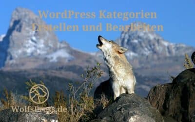 Einfacher Leitfaden: WordPress Kategorien Erstellen und Bearbeiten, um Deinen Blog super zu optimieren