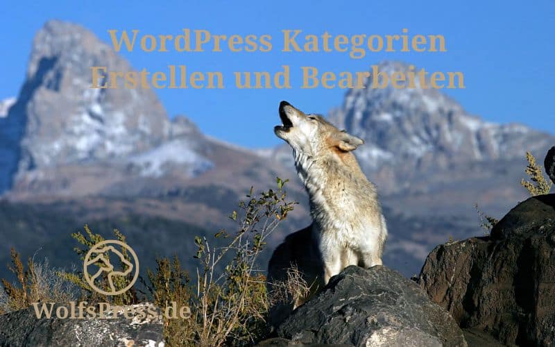 WordPress Kategorien erstellen und bearbeiten