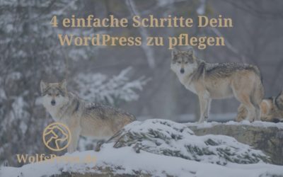 4 einfache Schritte Dein WordPress zu pflegen