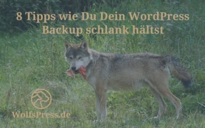 8 Tipps wie Du Dein WordPress Backup schlank hältst