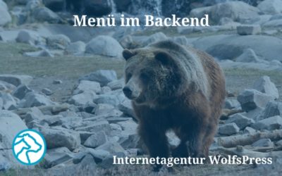 Wer fügt hier was zum Menü im WordPress Backend hinzu?