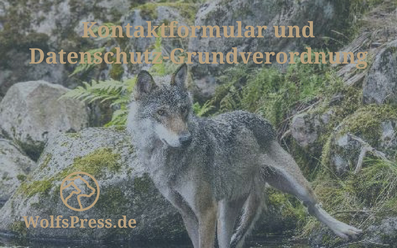 Kontaktformular und Datenschutz Grundverordnung