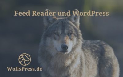 RSS Feed Reader und WordPress
