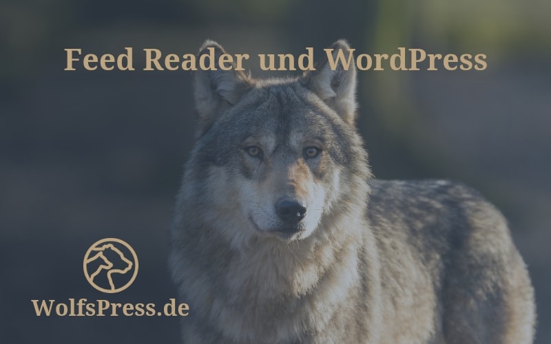 Feed Reader und WordPress Beitrag WolfsPress