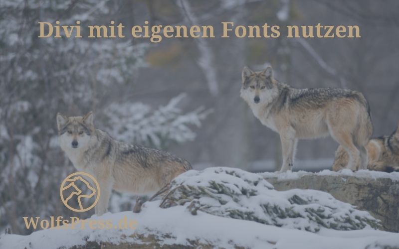 Divi mit eigenen Fonts nutzen