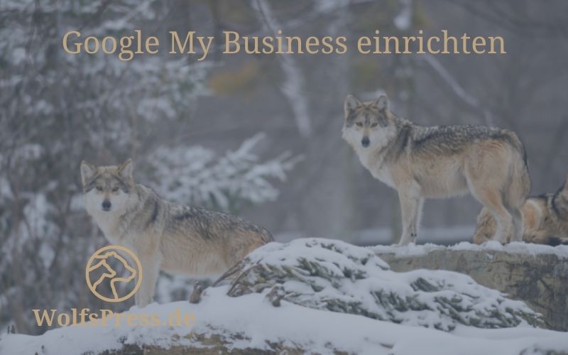 Google My Business einrichten