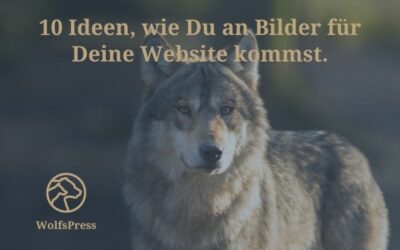 10 Ideen, wie Du an Bilder für Deine Website kommst